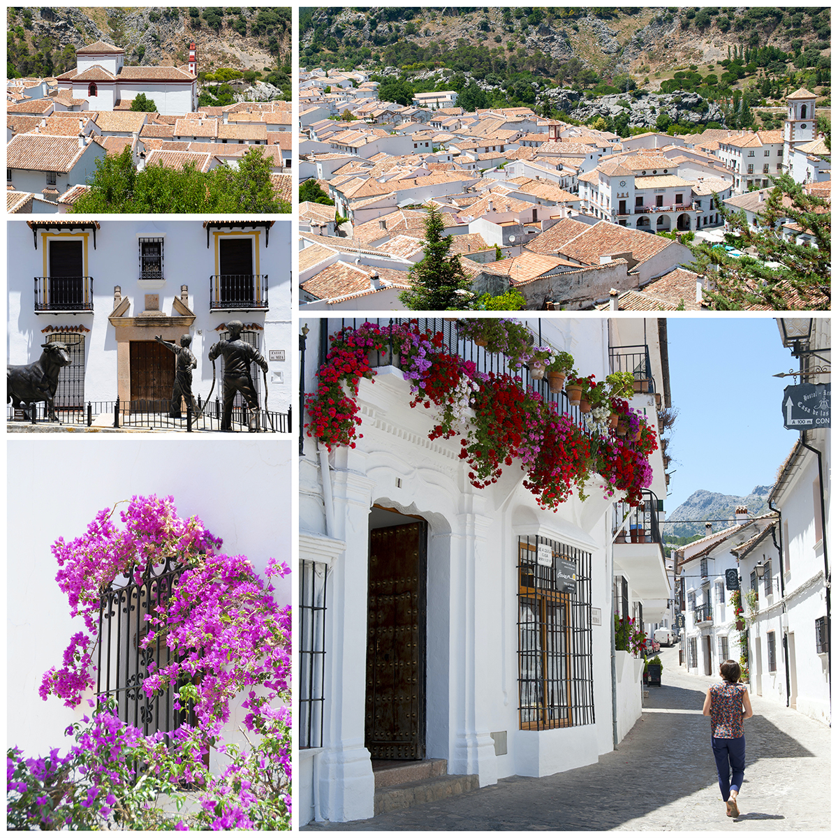 MIÉRCOLES. GRAZALEMA - UBRIQUE - ARCOS DE LA FRONTERA .