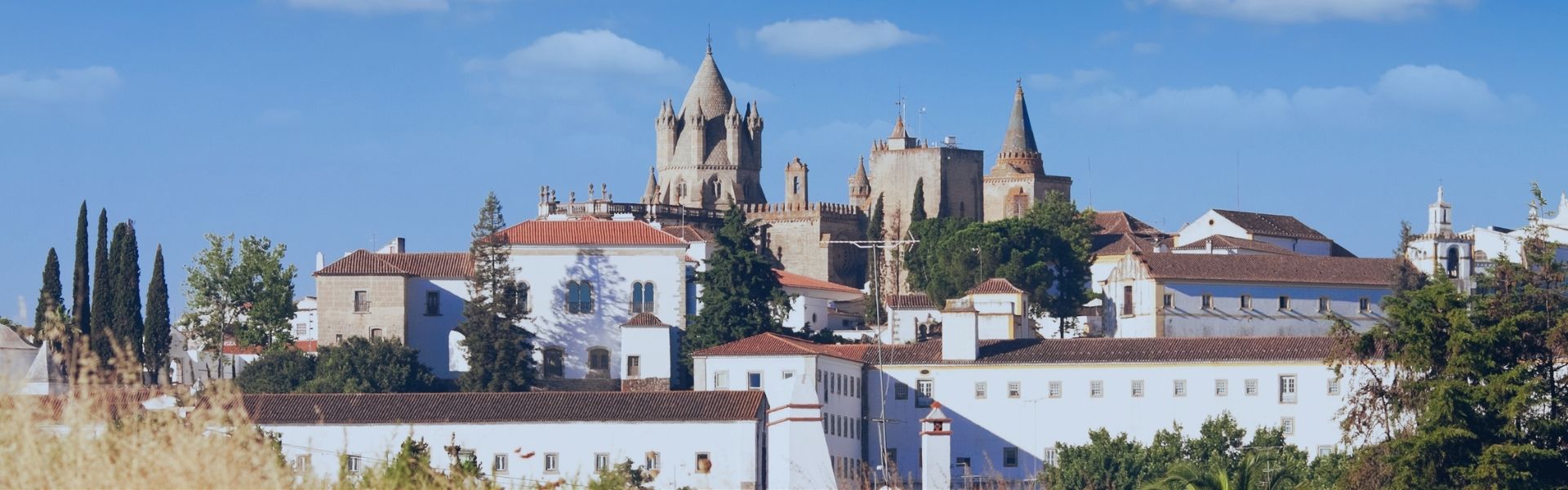 Circuitos Culturales «LO MEJOR de PORTUGAL» Oporto, Coímbra y Lisboa