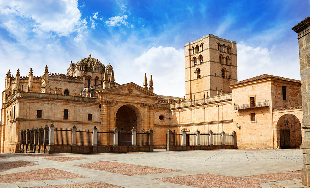 LUNES. MEDINA DEL CAMPO - ZAMORA